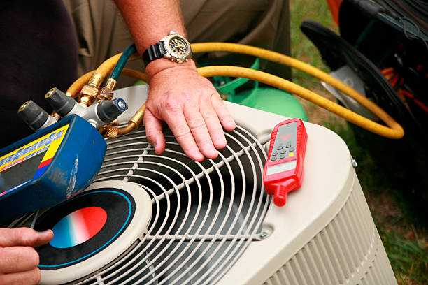 Best HVAC air duct cleaning  in Dland, MI